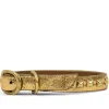 Calleen Cordero Baby Pyramid 8" Dog Collars | 8” Dog Collar
