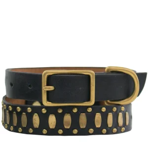 Calleen Cordero Concha S 11" Dog Collars | 10” Dog Collar