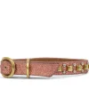 Calleen Cordero Mini Rolex 8" Dog Collars | 8” Dog Collar