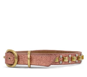Calleen Cordero Mini Rolex 8" Dog Collars | 8” Dog Collar