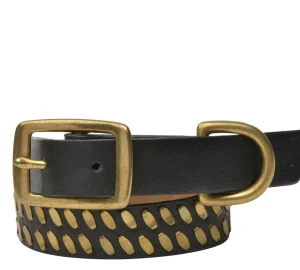 Calleen Cordero Mora 15" Dog Collars | 15” Dog Collar