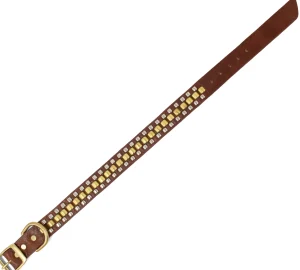 Calleen Cordero Rolex 15