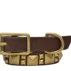 Calleen Cordero Zumo 12" Dog Collars | 12” Dog Collar